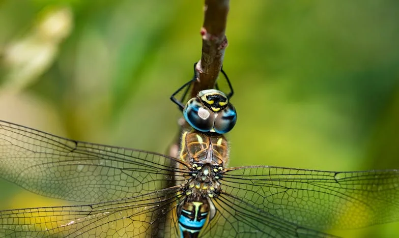 Comment j'ai appris à dire « non » à ma belle-mère : une histoire de limites et d'amour