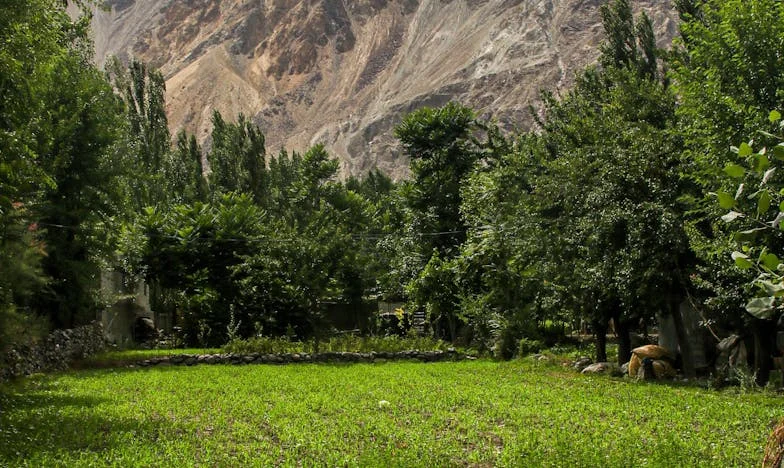 Dans la nuit noire, une valise à la main : renaître après la fuite