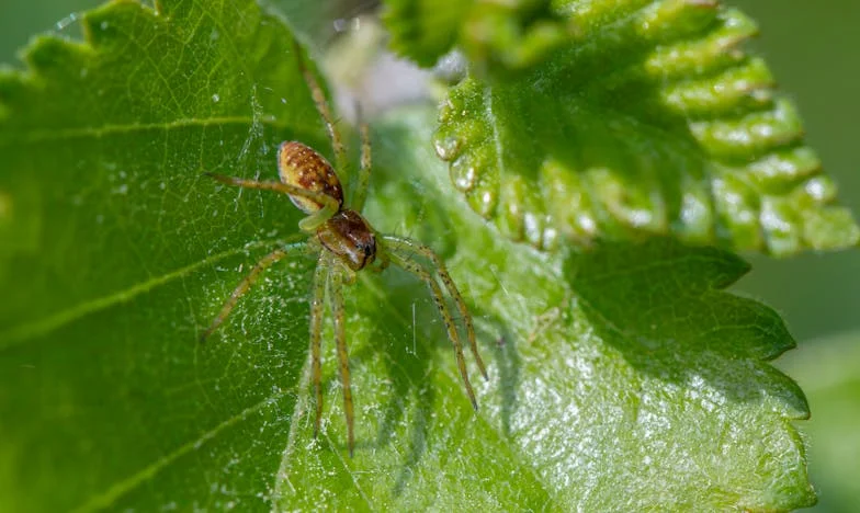 Derrière les portes closes – Le combat d’une mère pour la confiance