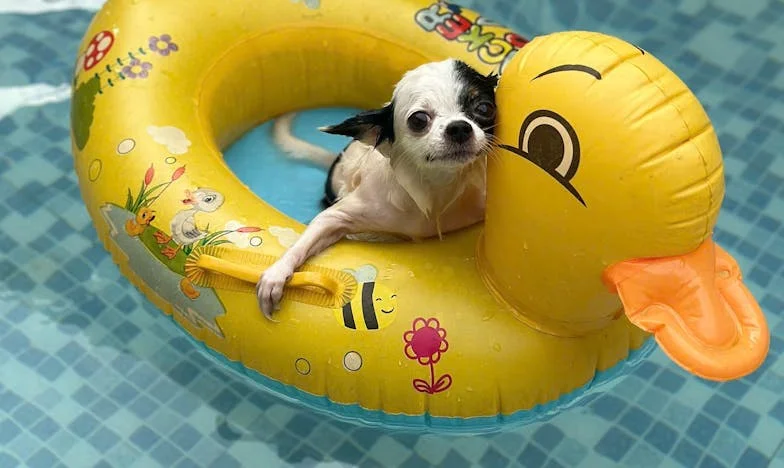 Deux fois brisée : Comment ai-je pu faire confiance à ma propre mère ?