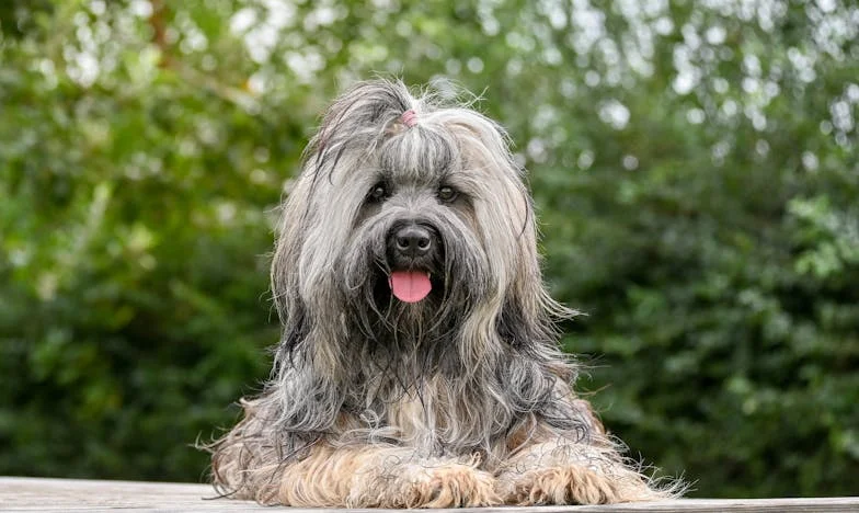Deux visages de la vérité : Ma vie après avoir découvert la double vie de mon mari