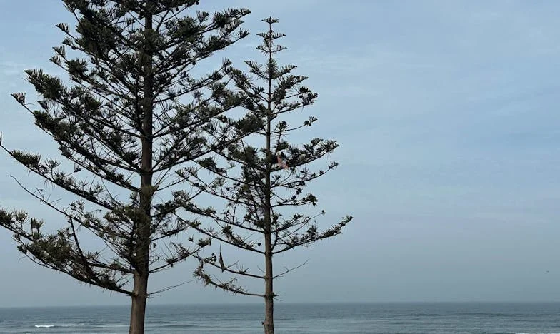 Entre Deux Mondes : Ma Belle-Sœur, Mon Énigme