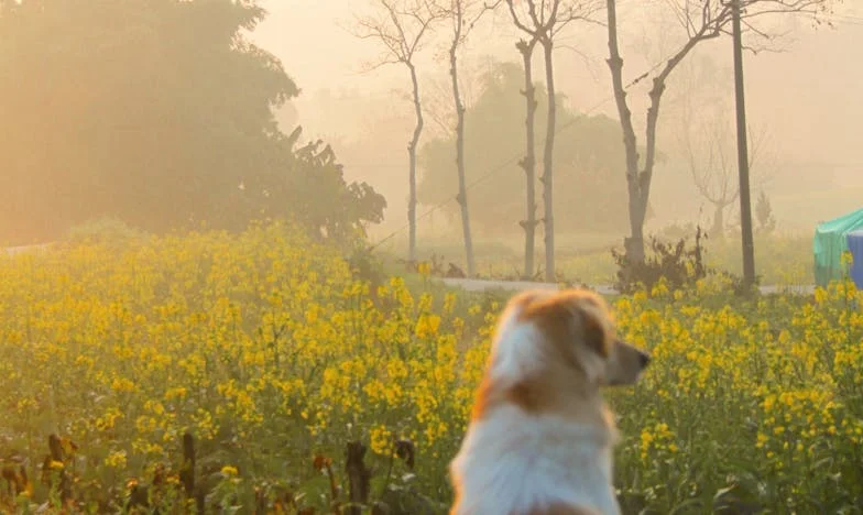 Entre l’amour et la fierté : Chronique d’une cuisine brisée