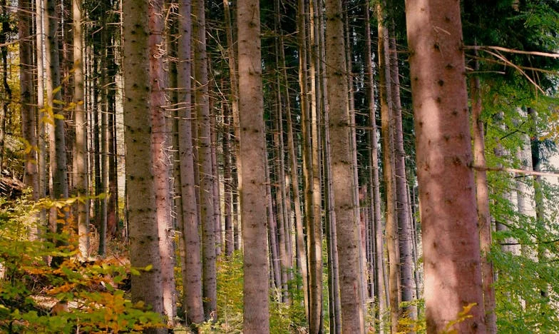 Entre reproches et tendresse : le fil fragile entre ma fille et moi