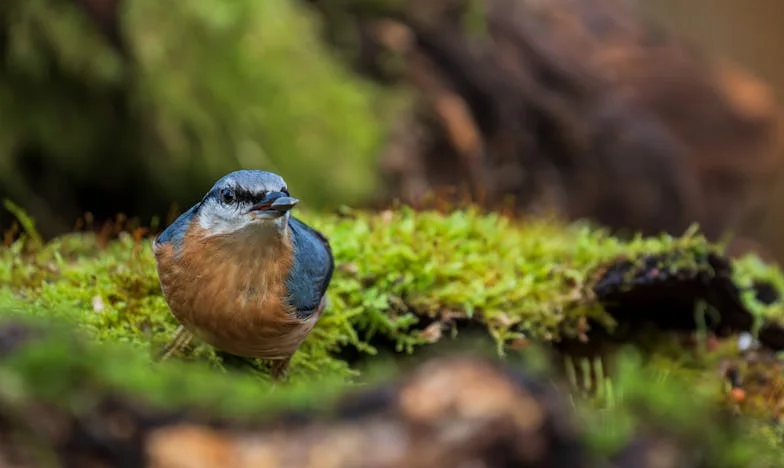 J’ai élevé mes enfants, aujourd’hui c’est moi qui ai besoin d’aide
