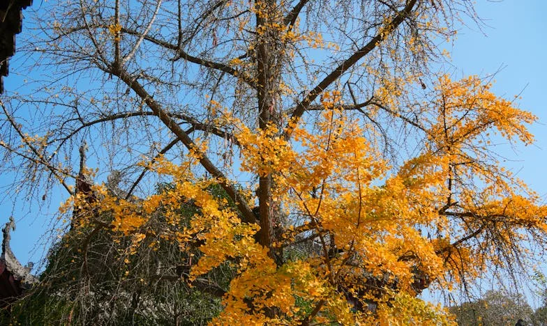J'étais certaine que nous finirions ensemble : quand l'amour se transforme en solitude à deux