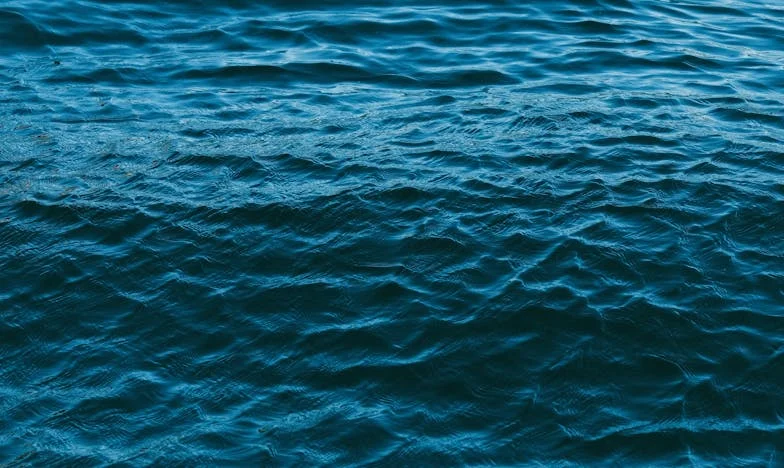 La blessure familiale : Comment j'ai perdu ma sœur à cause d'un héritage