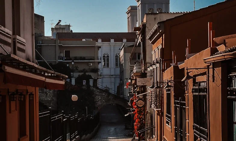 La fille invisible : Histoire de Camille Dubois