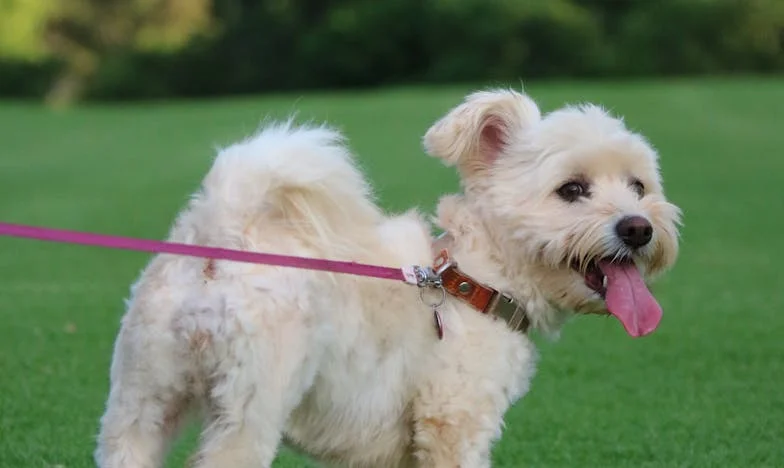 La maison de mon père : Ce silence qui m’a brisé