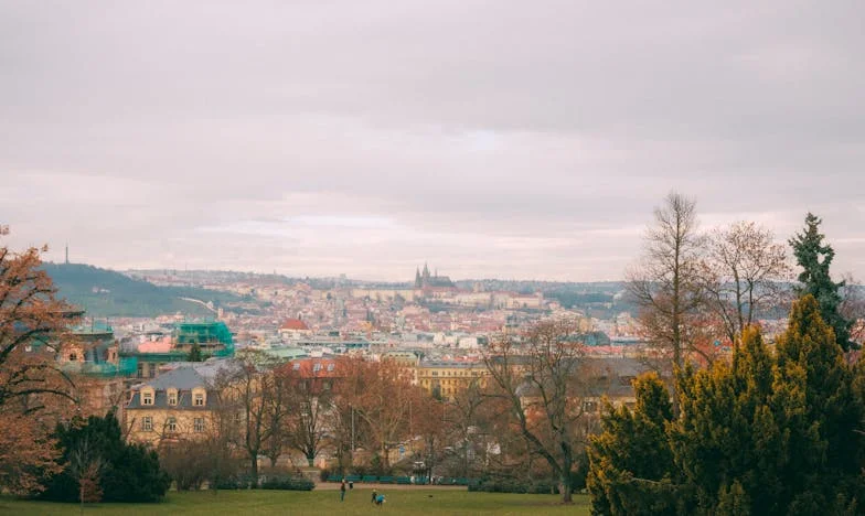 La Vérité Derrière la Porte : Confessions d'une Vie Brisée