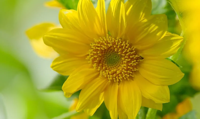 L’ombre sur le trottoir : la vérité que personne ne voulait entendre