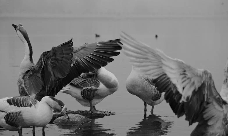 Petit-déjeuner avec ma belle-mère : Comment j'ai trouvé le bonheur dans ma propre liberté