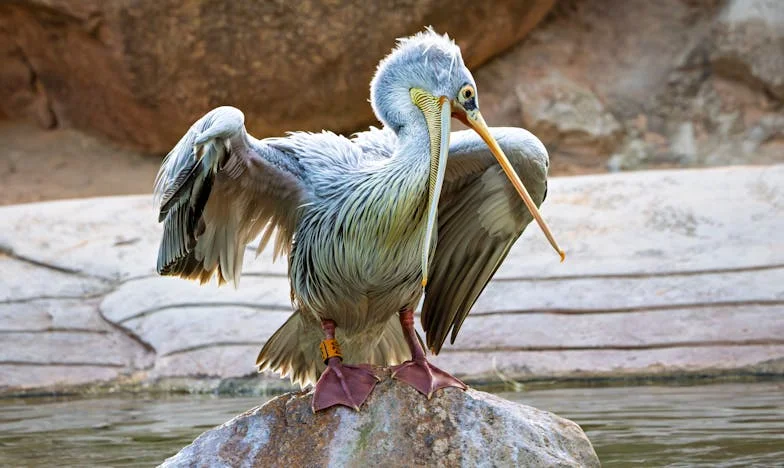 « Pourquoi c’est toujours moi qui paie ? » – Confession d’une Française sur l’argent dans le couple