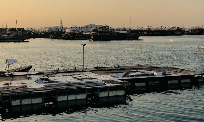 Pourquoi elle et pas moi ? : Histoire d'une injustice dans la famille Lefèvre