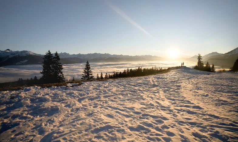 Quand la vérité fait mal : Combat d’un père pour son fils dans une école française