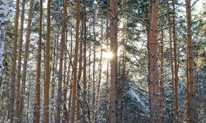 Quand ma belle-fille a franchi le seuil : une histoire de sévérité, d’incompréhensions et de gratitude inattendue