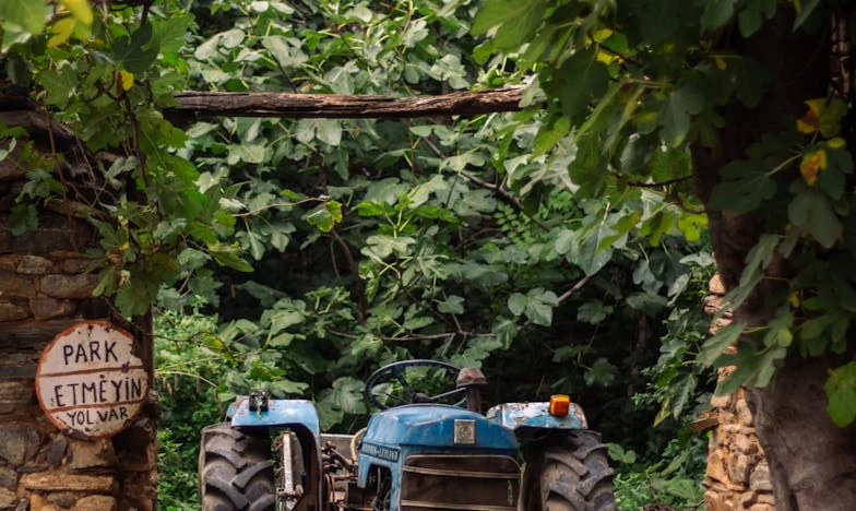 Quarante ans d'absence : le retour de Paul dans ma vie