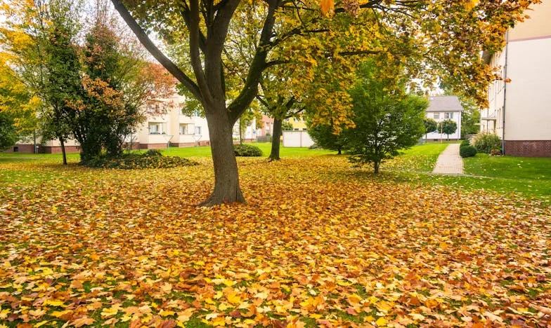 Quatorze semaines – L’histoire de Camille