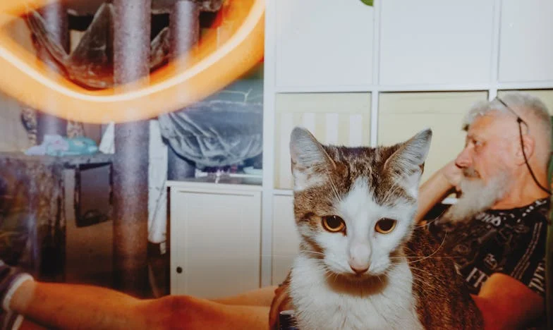 Trahi par ma propre mère : l’héritage volé