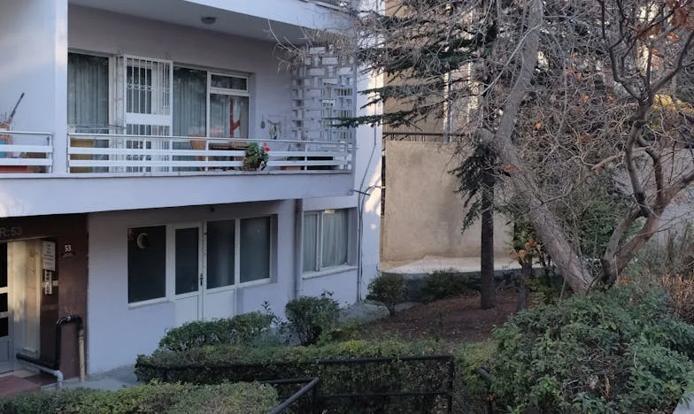 Trop tôt pour des petits-enfants ? Le banquet qui a tout changé