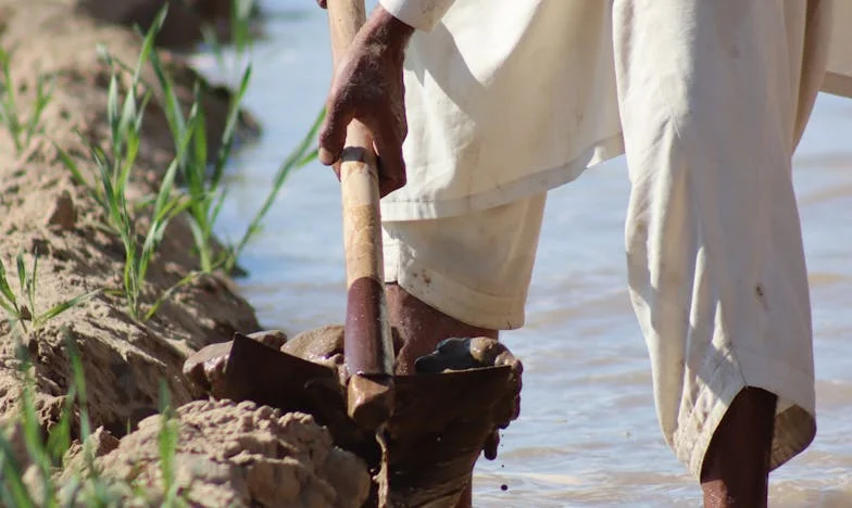 Un samedi matin qui a brisé ma confiance – L’histoire de Zofia au supermarché du quartier