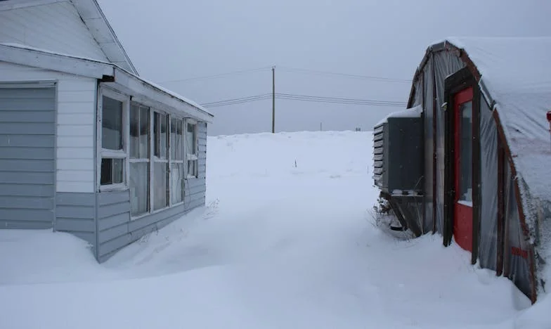 Zosia, la petite voisine affamée : un souvenir d’enfance qui me hante