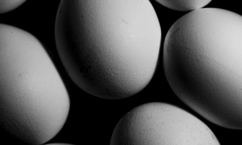 Accueillir l’enfant d’une autre : Mon combat contre l’amour et les préjugés