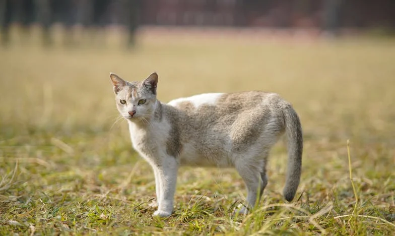 « Camille, tu peux venir pour Papy Marcel ? » – Comment un appel a bouleversé ma vie