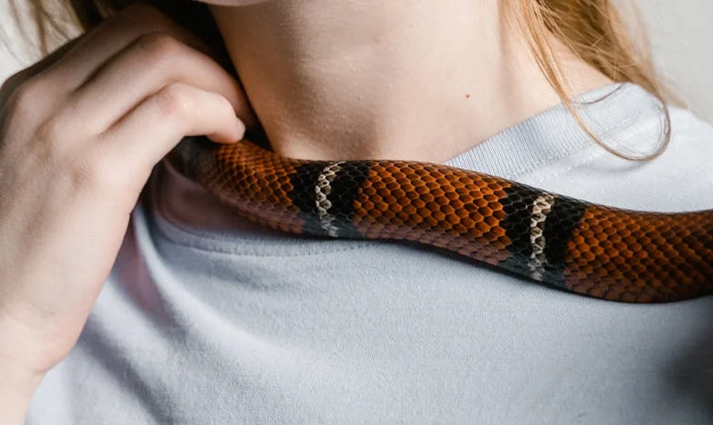 « Entre deux feux : choisir ma vie ou ma famille ? » – L’histoire de Claire à Lyon