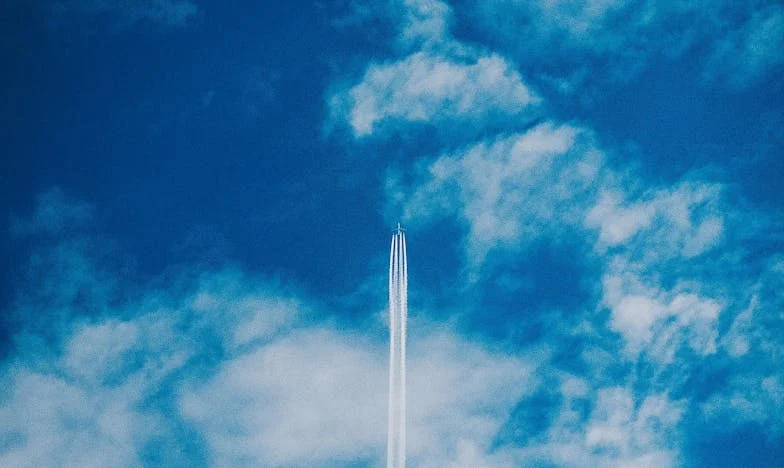 Fille de l’ombre : l’histoire d’Élise, celle qu’on n’attendait pas