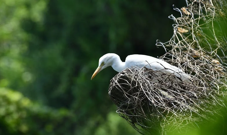 Là où personne ne disparaît – L’histoire d’une mère française face à l’éclatement familial