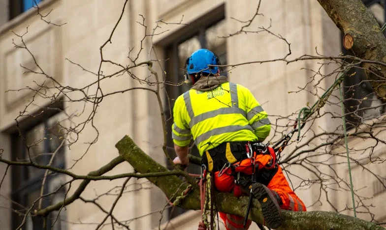 Le cadeau qui a brisé notre famille : Histoire d'une voiture et de bien plus encore