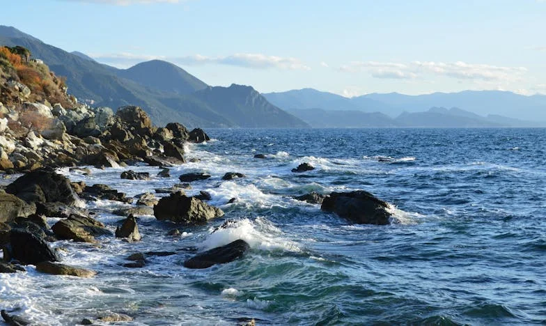 Le jour où j'ai mis dehors la tante de mon mari : jusqu'où peut-on supporter l'irrespect en famille ?