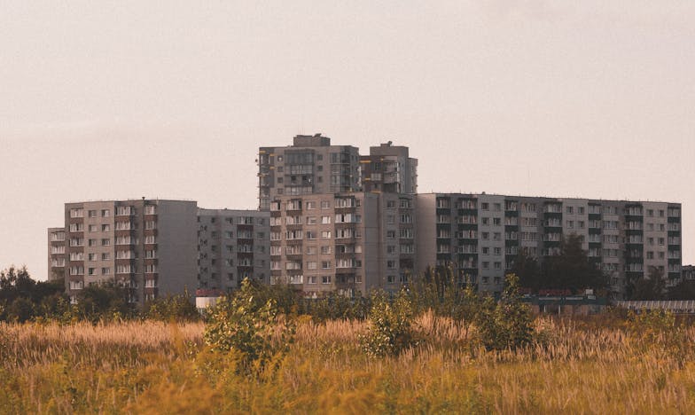 Le secret de Leïla : Entre gratitude et mensonge