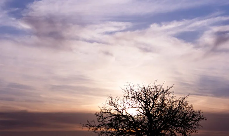 Le silence du pain : l'histoire de mon mari disparu