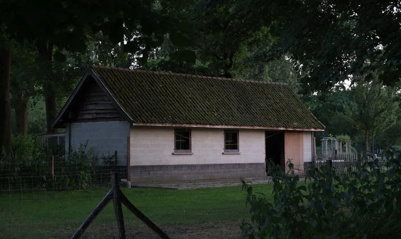 Les larmes de ma belle-mère et le silence de la trahison