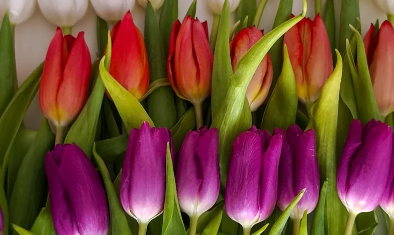 Personne n’a le droit de te faire sentir moins que rien – sauf si tu le permets : L’histoire d’une famille française