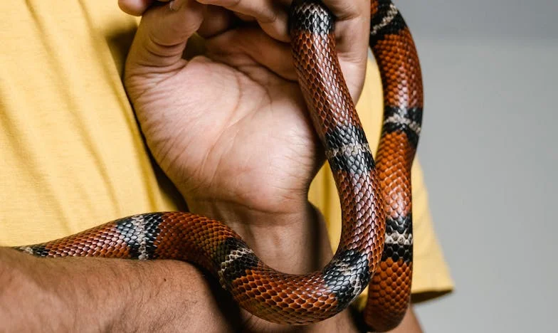 Personne ne me volera ma dignité : L’histoire de Claire, survivante de la précarité à Lyon