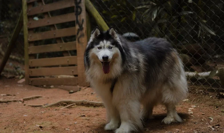 Personne ne voulait accueillir mon fils : Un père seul face à la détresse silencieuse