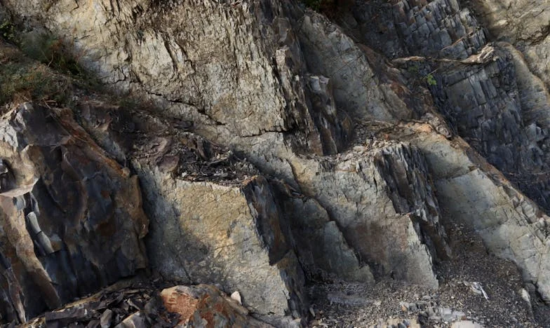 Plus de cadeaux pour ma belle-fille : du malentendu à l’harmonie