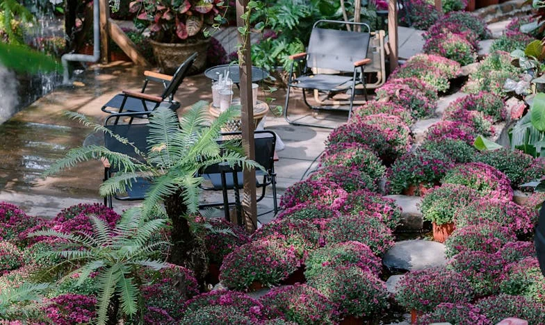 Quand j'ai découvert que mon fils n'était pas le mien : une histoire d'amour, de perte et de vérité