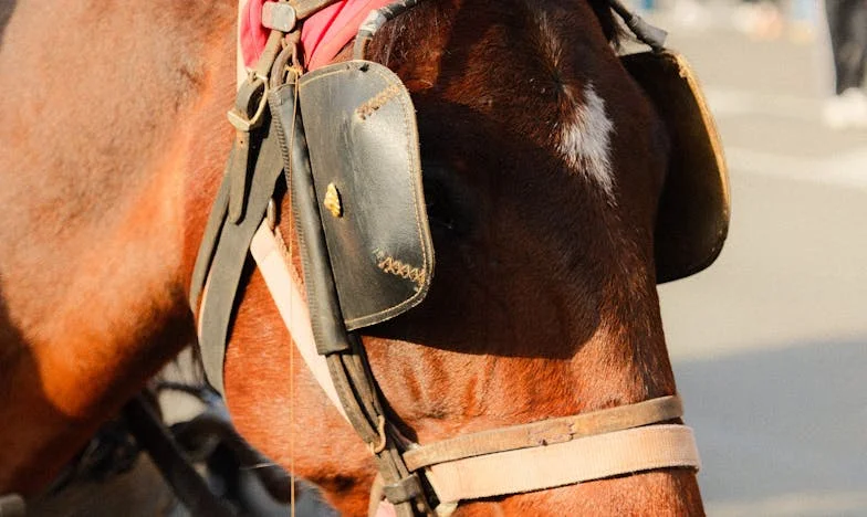 Un Nouveau Départ : Comment Nous Avons Retrouvé Notre Harmonie Après Avoir Quitté la Maison de Ma Belle-Mère