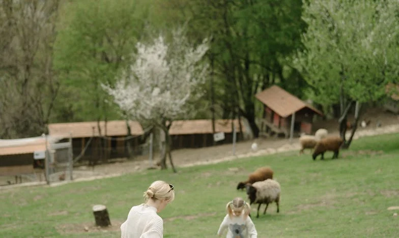 Entre l’amour et le regret : chronique d’une famille déchirée par l’héritage