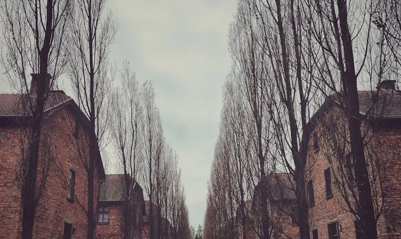 La maison de l’ultimatum : Entre amour et loyauté