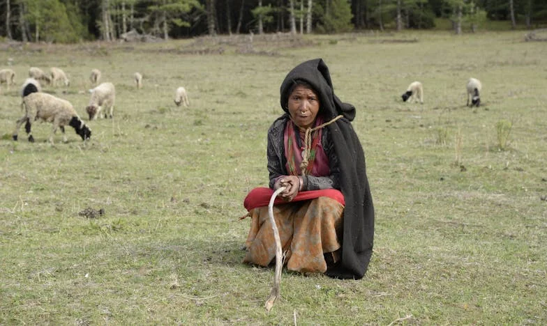 Pardonner dans l’ombre de la trahison – L’histoire de Claire de Lyon
