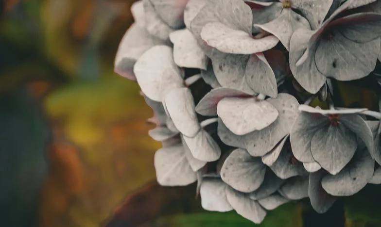 Au cœur de la nuit, ma belle-fille a frappé à ma porte : Secrets de famille, trahisons et renaissance