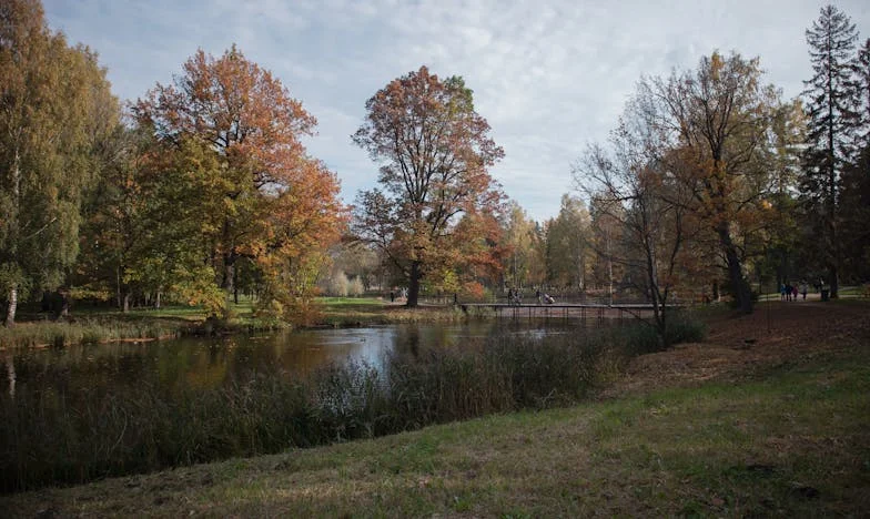 J'ai aimé mon voisin. Mon fils ne veut plus me parler.