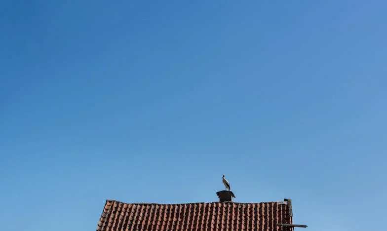 Le parfum du pot-au-feu : Quand la cuisine de ma belle-mère s’immisce dans mon couple