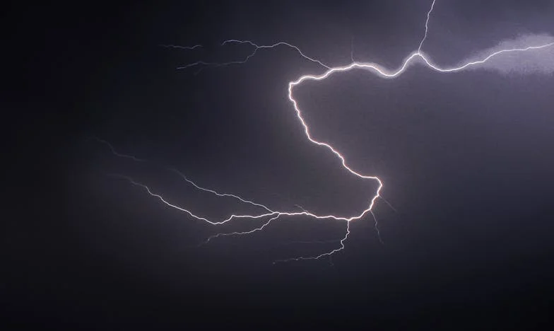 Quand j’ai dit stop : comment j’ai affronté les intrus de la famille Lefèvre