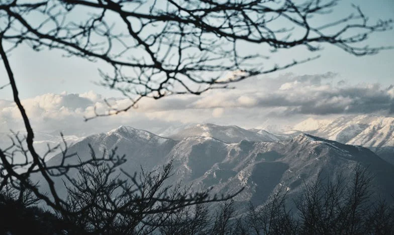 Quand l’amour devient une épreuve : Histoire d’une épouse française